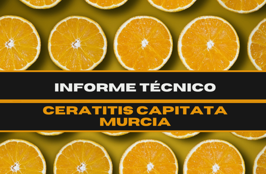 Informe técnico | Evaluación de la aplicación de FuturCrop en la determinación de la estrategia de control de Ceratitis capitata (mosca del mediterráneo) en la región de Murcia, 2021