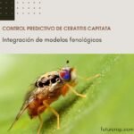 control de ceratitis capitata