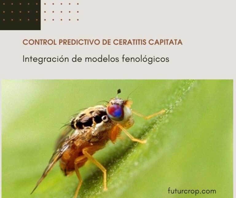 control de ceratitis capitata