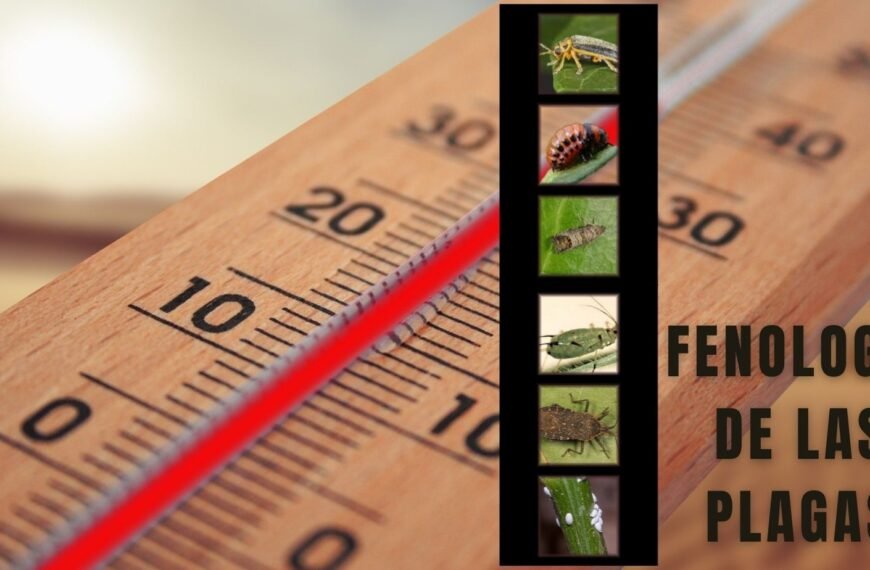 fenologia de las plagas