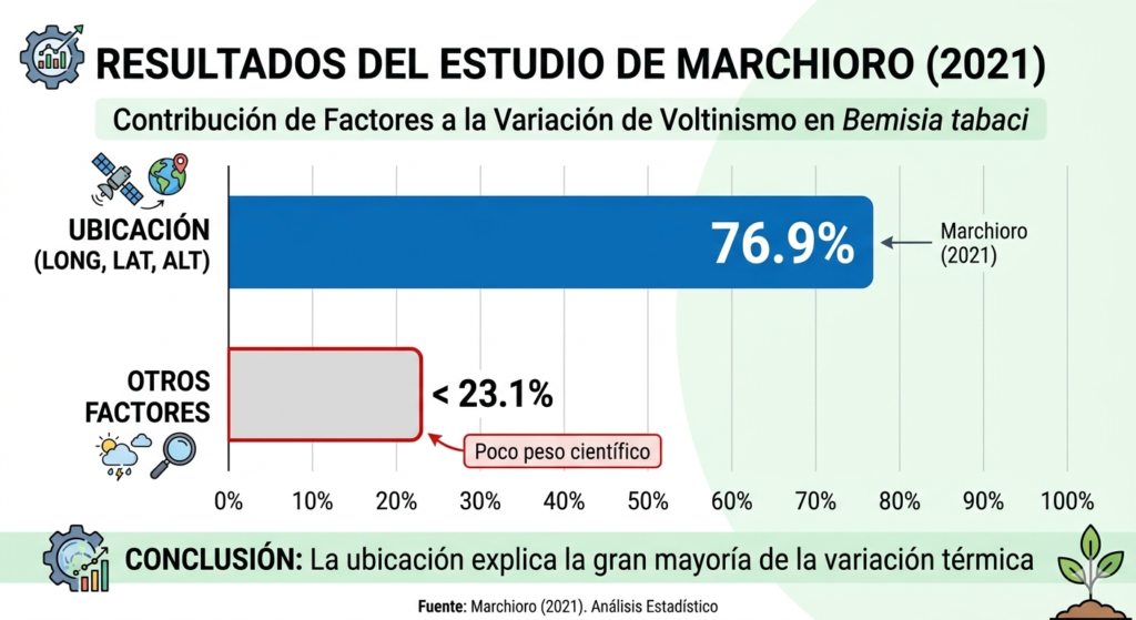 Estudio Marchioro, multivoltismo