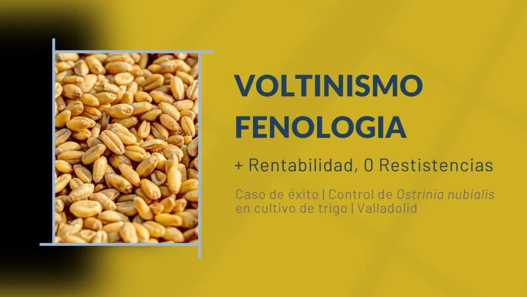 control de plagas eficaz con software de predicción fenologica