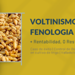 control de plagas eficaz con software de predicción fenologica