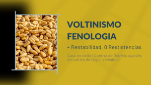 control de plagas eficaz con software de predicción fenologica