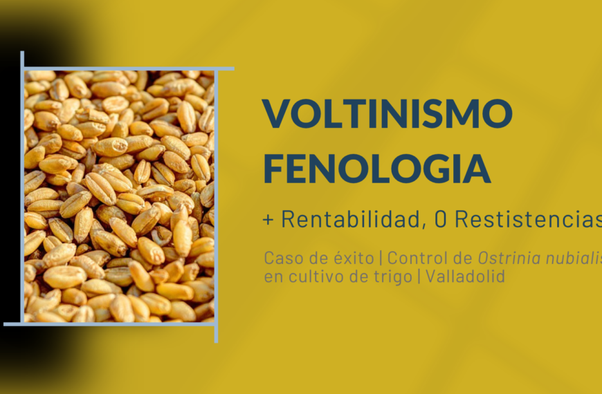 control de plagas eficaz con software de predicción fenologica