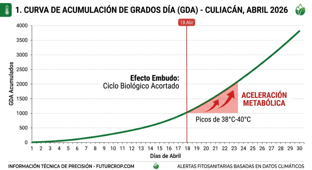 aceleracion metabolica