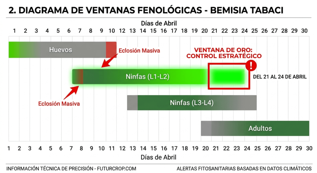 ventanas fenologicas