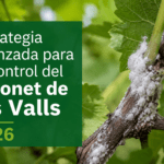 Portada cotonet