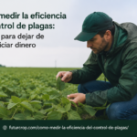 cómo medir la eficacia de los tratamientos de control de plagas