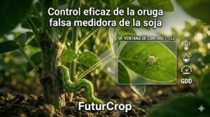 Control eficaz de oruga falsa medidora